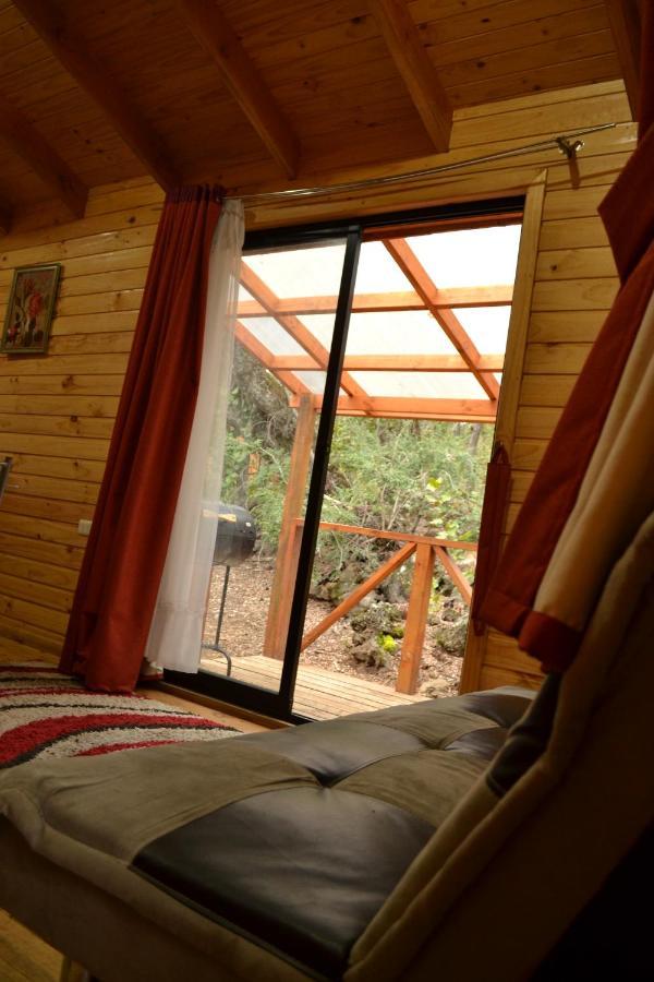 Cuatro Robles Holiday home *
