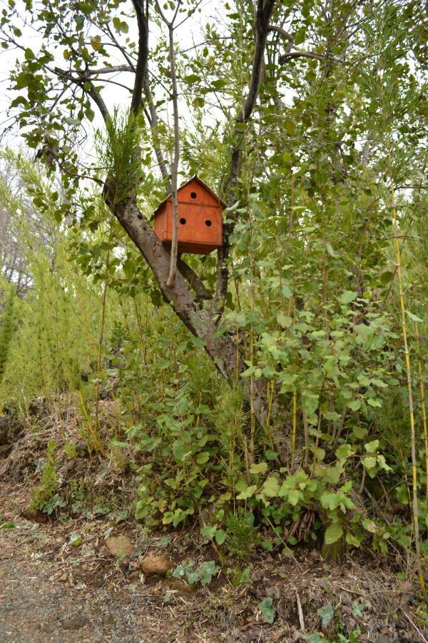 Cuatro Robles Holiday home *